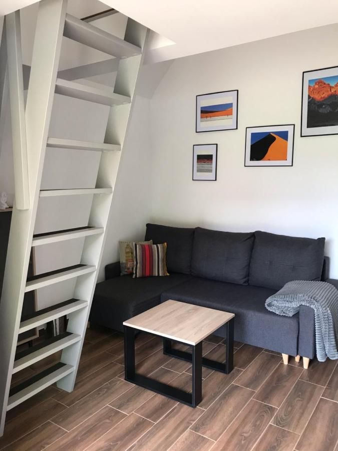 Salon z szarą sofą, stolikiem i jasnymi schodami-drabinką